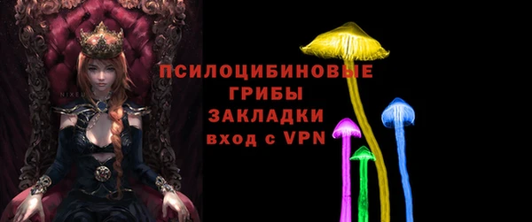 прущие крисы Каменка