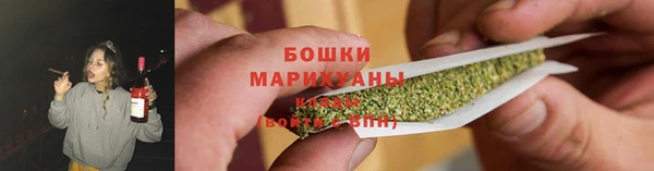 эйфоретик Каменногорск