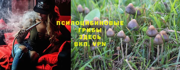 прущие крисы Каменка
