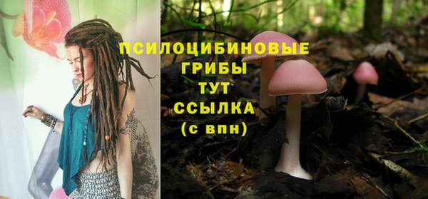 эйфоретик Каменногорск