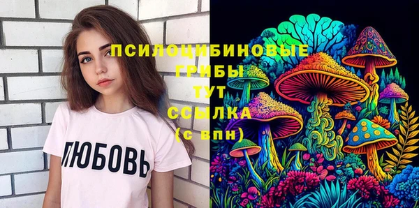 эйфоретик Каменногорск