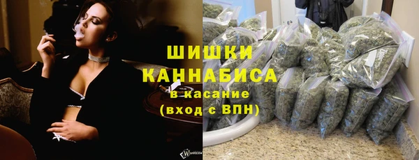 эйфоретик Каменногорск