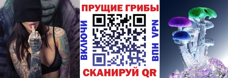 Купить  Кинешма  Галлюциногенные грибы Psilocybine cubensis 